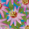 Passionsblume ‚Anastasia' – Passiflora – Ansicht 4