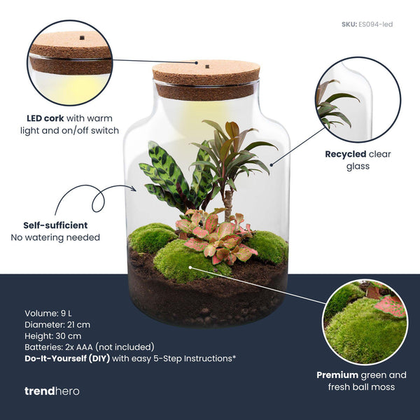 Terrarium-Set „Milky Palm“ – DIY-Pflanzenterrarium mit Licht