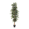 Kunstpflanze Birkenfeige (Ficus benjamina)