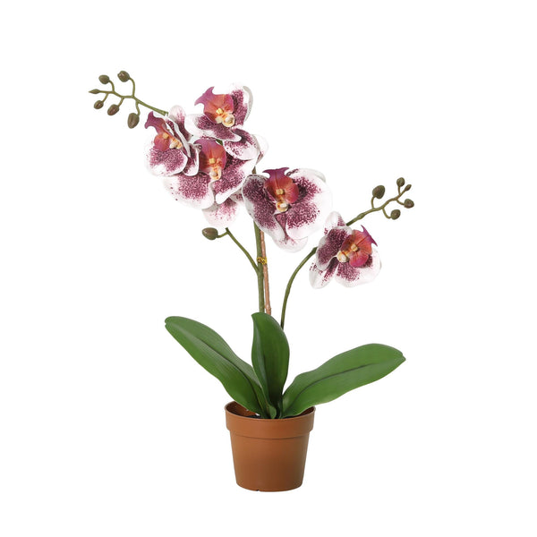 Kunstorchideen-Trio – 3 Schmetterlingsorchideen in Lila, Orange & Violett-Weiß – im Set enthalten: Kunstpflanze Orchidee Phalaenopsis lila