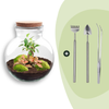 Flaschengarten-Set „Teddy Bonsai" – DIY-Terrarium mit Licht und Bonsai