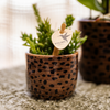 Ziertopf mit Leopardenmuster – Ansicht 3