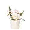Schmetterlingsorchidee ‚Nazaré' – Phalaenopsis