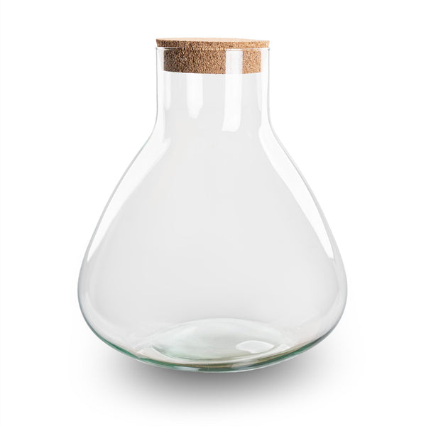 Flaschengarten-Terrarium „Sammie" – Glasflasche mit Korken