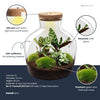 Flaschengarten-Set „Fat Joe" – DIY-Terrarium mit Licht und Pflanzen – Ansicht 3
