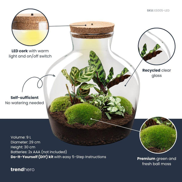 Flaschengarten-Set „Fat Joe" – DIY-Terrarium mit Licht und Pflanzen – Ansicht 3