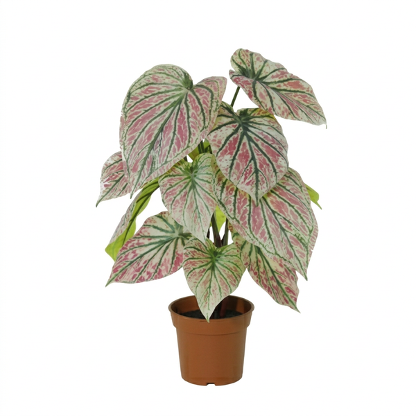 Kunstpflanze Caladium weiß-rosa