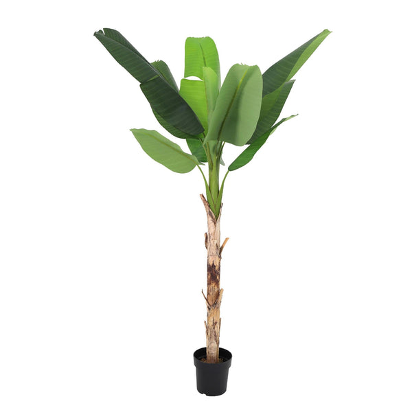 Kunstpflanze Bananenpflanze (Musa)