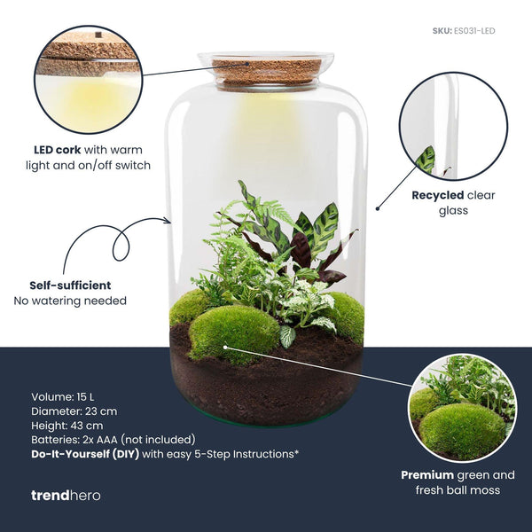 Flaschengarten-Set „Botanical Sven XL“ – DIY-Terrarium mit Licht – Ansicht 2
