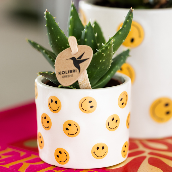 Übertopf Smiley – Ansicht 6