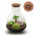 Flaschengarten-Set „Love Mom Sam“ – DIY-Terrarium mit graviertem Korken und Licht