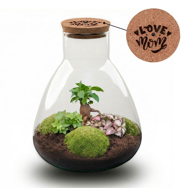 Flaschengarten-Set „Love Mom Sam“ – DIY-Terrarium mit graviertem Korken und Licht