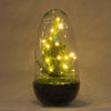 Flaschengarten-Set „Egg Christmas" – DIY-Terrarium mit Weihnachtsdeko – Ansicht 3