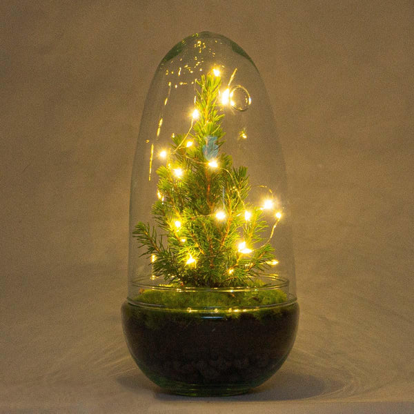 Flaschengarten-Set „Egg Christmas" – DIY-Terrarium mit Weihnachtsdeko – Ansicht 3