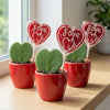 Geschenk-Set „Sweetheart“ – Mini-Grünpflanze mit Topf – Ansicht 3
