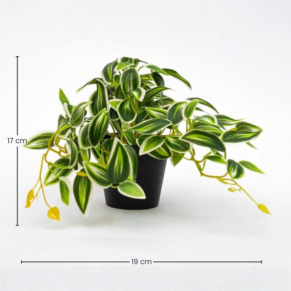 Kunstpflanze Tradescantia im Topf – Ansicht 2