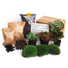 Flaschengarten-Set „Calathea makoyana“ – Nachfüll- und Starterpaket 2 – Ansicht 3