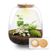 Flaschengarten-Set „Emma" – DIY-Kit mit Efeu