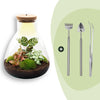 Flaschengarten-Set „Sam Calathea" – DIY-Terrarium mit Lampe und Calathea