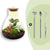 Flaschengarten-Set „Sam Calathea" – DIY-Terrarium mit Lampe und Calathea
