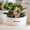 Geschenk-Set „Love You" – rote Phalaenopsis ‚Congo' mit Grünpflanze – Ansicht 2