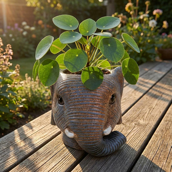 Übertopf Elefant – Ansicht 5