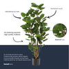 Kunstpflanze Polysciasbaum – Ansicht 4