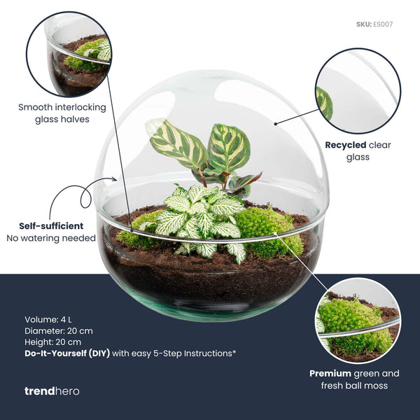Flaschengarten-Set „Dome" – DIY-Terrarium im Kugelglas – Ansicht 3