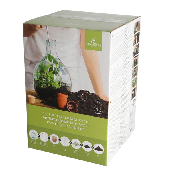 DIY-Terrarium-Set – geschlossenes Ökosystem in Geschenkbox