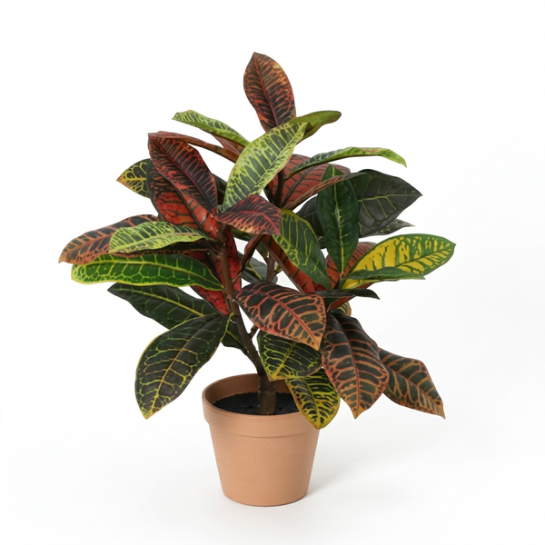 Kunstpflanze Kroton (Codiaeum)