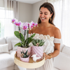 Schmetterlingsorchidee ‚Mineral Rotterdam' – Phalaenopsis – Ansicht 3