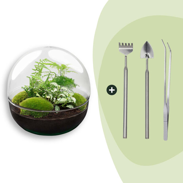 Flaschengarten-Set „Dome XL" – DIY-Terrarium im Kugelglas