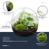 Flaschengarten-Set „Dome XL" – DIY-Terrarium im Kugelglas – Ansicht 3