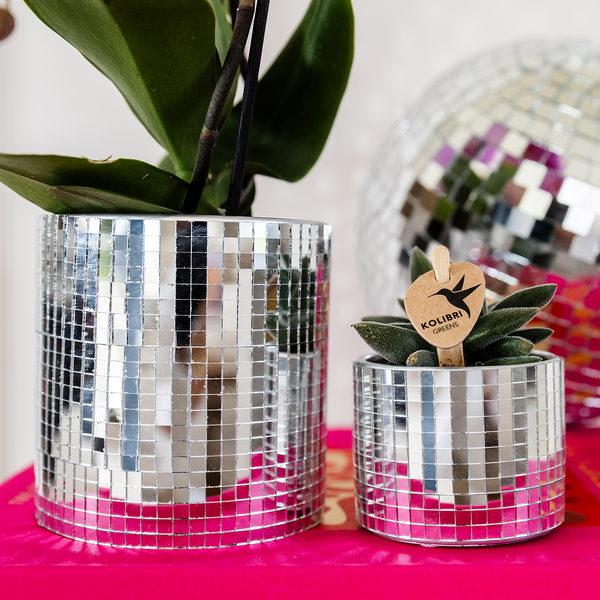 Übertopf Disco – Ansicht 7