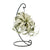 Tillandsie – Tillandsia xerographica