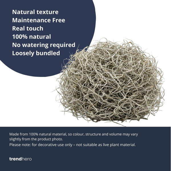 Getrocknetes Tillandsia-Moos – Dekomoos