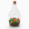 Flaschengarten-Set „Love in a Bottle“ – offenes DIY-Pflanzenterrarium
