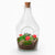 Flaschengarten-Set „Love in a Bottle“ – offenes DIY-Pflanzenterrarium