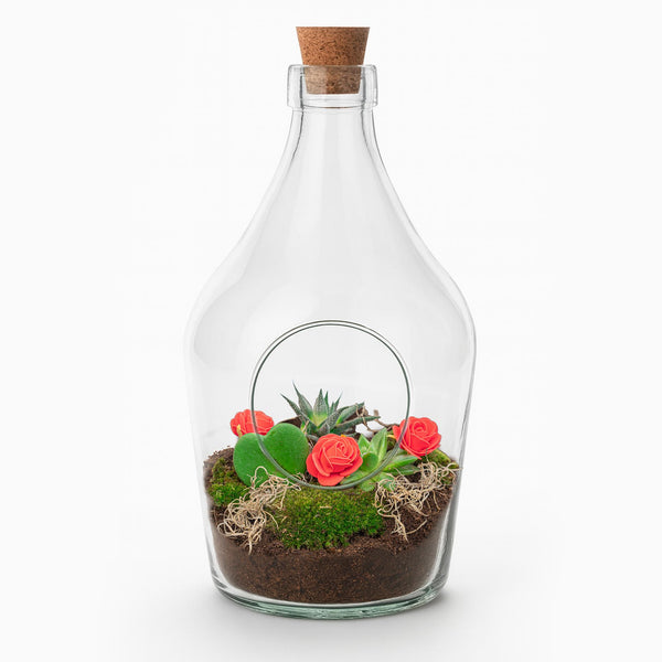 Flaschengarten-Set „Love in a Bottle“ – offenes DIY-Pflanzenterrarium