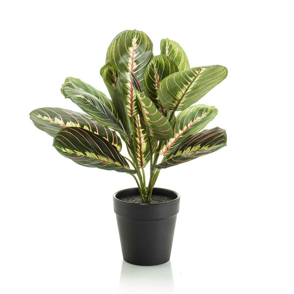 Kunstpflanze Maranta grün im schwarzen Topf