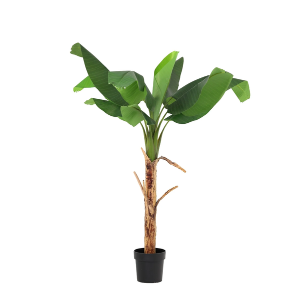 Kunstpflanze Bananenpflanze (Musa)