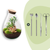 Flaschengarten-Set „Drop XL Bonsai" – DIY-Terrarium mit Bonsai