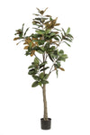 Kunstpflanze Magnolie (Magnolia grandiflora)