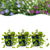 Immergrün Tricolour-Mix – Vinca – Ø 11 cm · 15-25 cm, Blau-Lila-Weiß