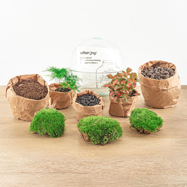 Flaschengarten-Set „Dome" – DIY-Terrarium im Kugelglas – Ansicht 4