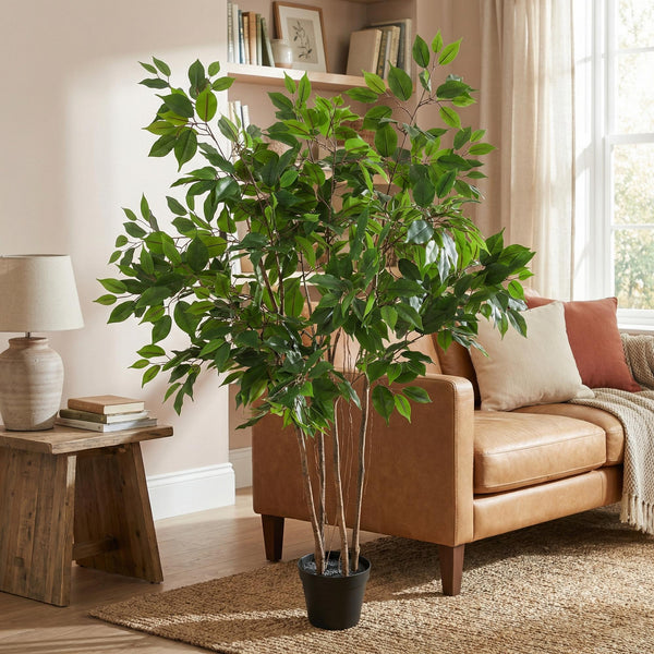 Kunstpflanze Birkenfeige (Ficus benjamina) – Ansicht 2