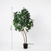 Kunstpflanze Geigenfeige (Ficus lyrata) – Baum – Ansicht 5