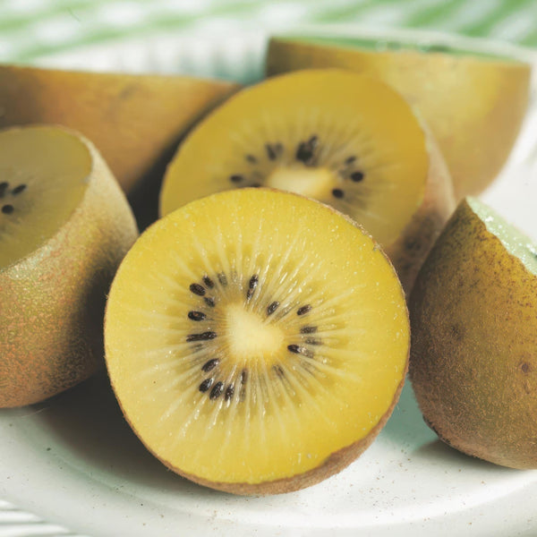 Kiwi ‚Weiki & Golden Kiwi' – Actinidia arguta – Ansicht 6