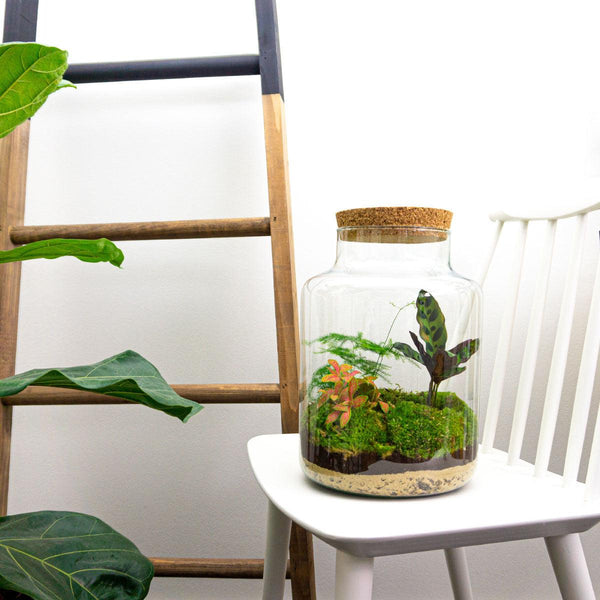 Flaschengarten-Set „Milky" – DIY-Terrarium mit Licht – Ansicht 4