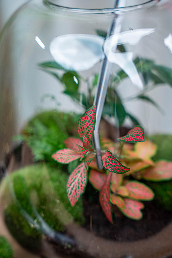 Terrarium-Pinzette aus Metall